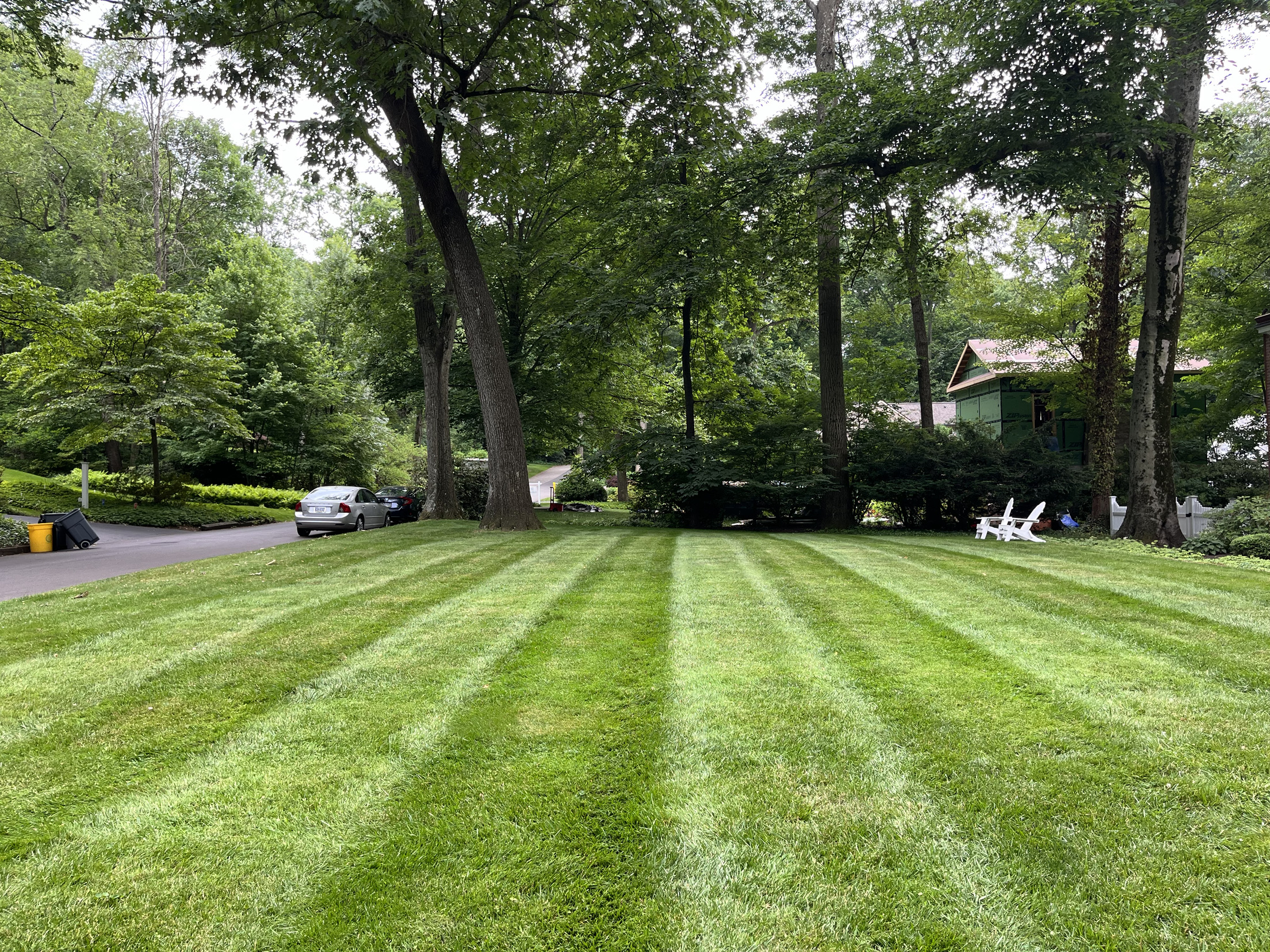 Lush, freshly mowed lawn with clean mowing stripes under mature trees in Glenside, PA