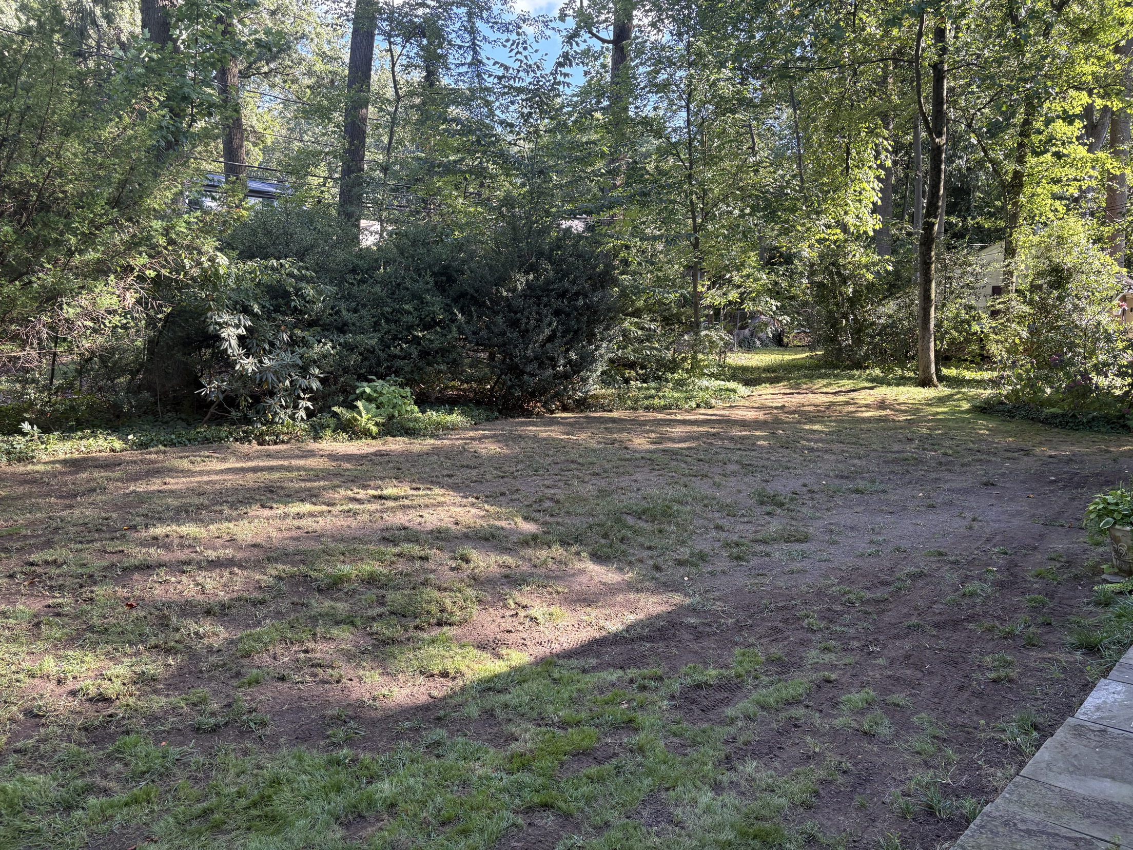 Bare, patchy backyard with thin grass and dirt before lawn renovation in Glenside, PA
