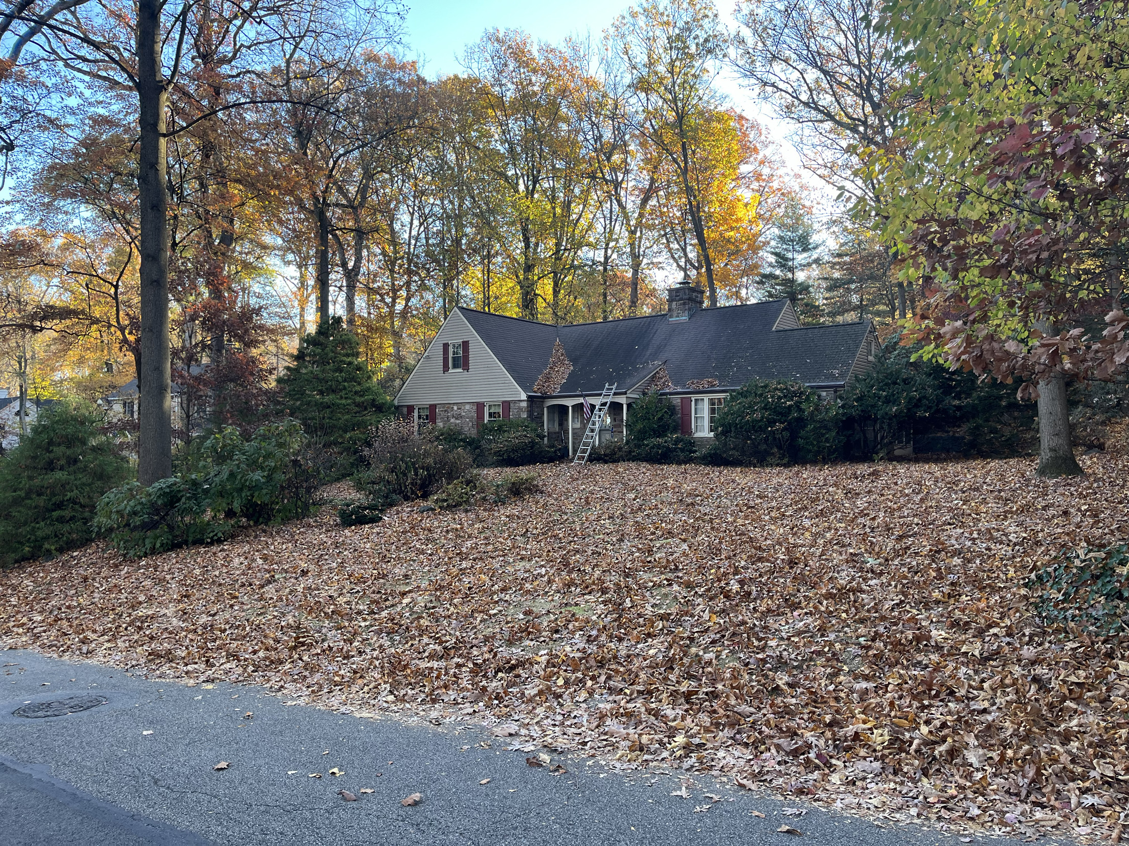 Thin, brown autumn front lawn at a stone home before lawn care in Montgomery County, PA